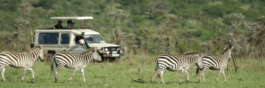 Game drive group